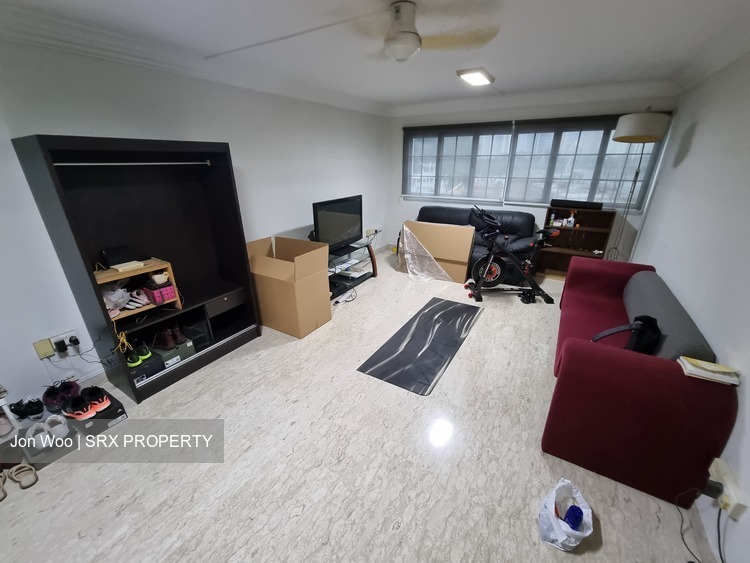 Blk 94 Havelock Heights (Bukit Merah), HDB 5 Rooms #518804901